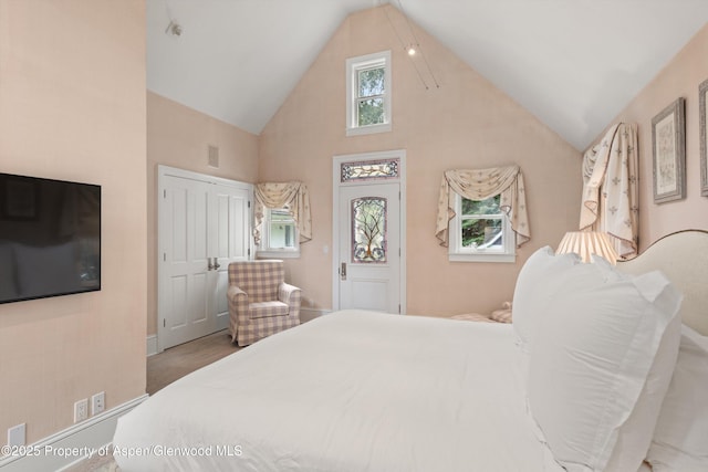 716 W Francis St, Aspen, CO 81611 - photo 36