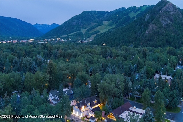 716 W Francis St, Aspen, CO 81611 - photo 9