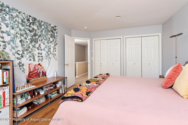 1199 Vitos Way, Carbondale, CO 81623 - bedroom featuring multiple closets and wood finished floors