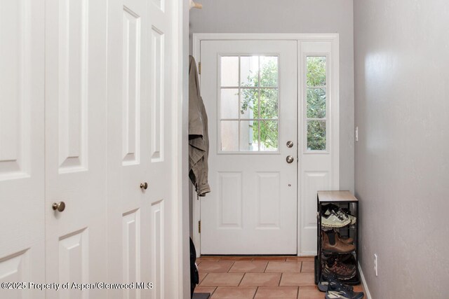 1199 Vitos Way, Carbondale, CO 81623 - doorway with light tile patterned floors