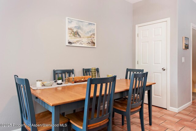 1199 Vitos Way, Carbondale, CO 81623 - dining area with baseboards