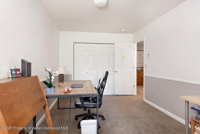 1199 Vitos Way, Carbondale, CO 81623 - carpeted home office featuring baseboards