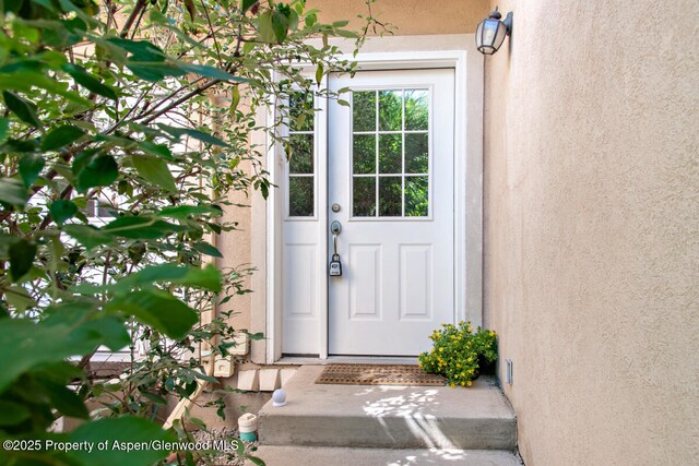 1199 Vitos Way, Carbondale, CO 81623 - view of exterior entry with stucco siding