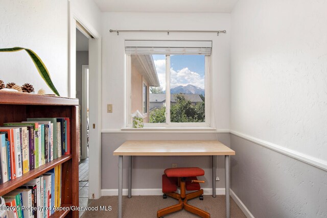 1199 Vitos Way, Carbondale, CO 81623 - carpeted home office with a mountain view