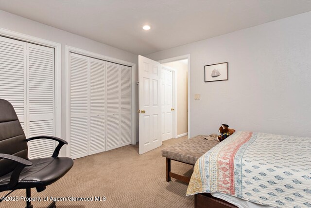 1199 Vitos Way, Carbondale, CO 81623 - bedroom featuring light carpet, two closets, and recessed lighting
