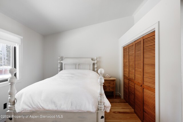 bedroom featuring hardwood / wood-style flooring and a closet