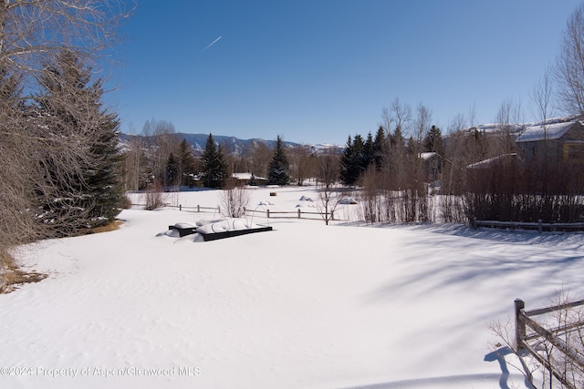 view of yard covered in snow