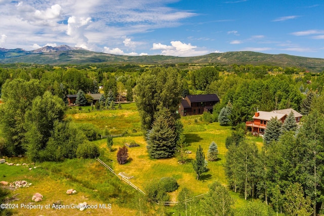 birds eye view of property featuring a mountain view