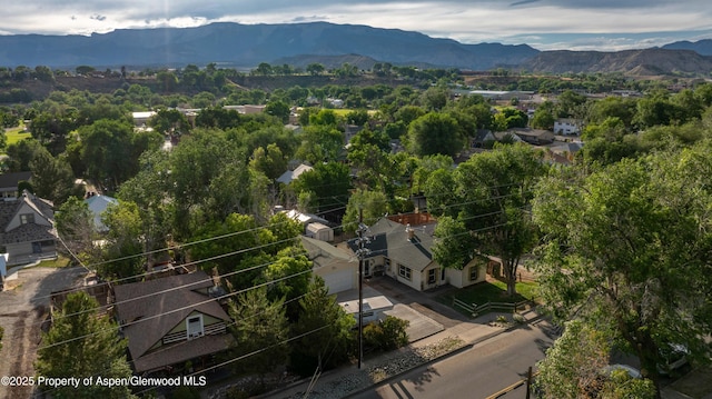 629 Whiteriver Ave, Rifle, CO 81650 - photo 15