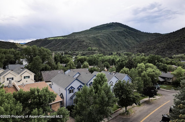 1207 Mountain Dr, Glenwood Springs, CO 81601 - photo 2