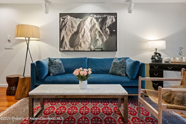 living area featuring wood finished floors