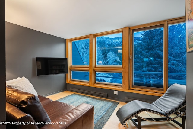 living area featuring baseboard heating and wood finished floors