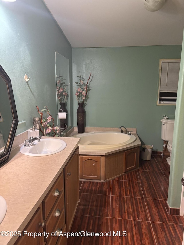 5033 County Road 335 Unit 112, New Castle, CO 81647 - bathroom featuring toilet, a garden tub, and vanity