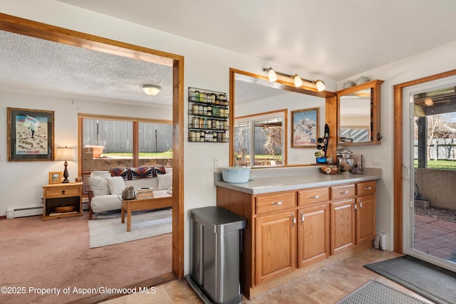 534/536 Spruce St, Aspen, CO 81611 - bar featuring a baseboard heating unit and light colored carpet
