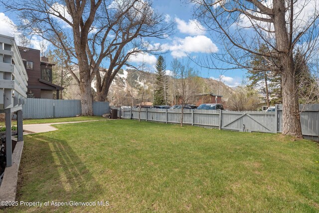 534/536 Spruce St, Aspen, CO 81611 - fenced backyard with a mountain view and a gate
