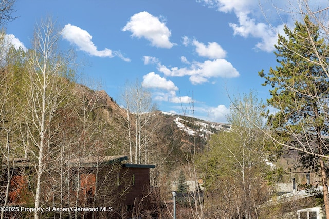 534/536 Spruce St, Aspen, CO 81611 - mountain view