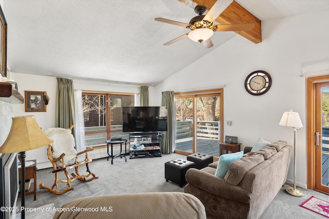 534/536 Spruce St, Aspen, CO 81611 - living room featuring carpet floors, healthy amount of natural light, and ceiling fan