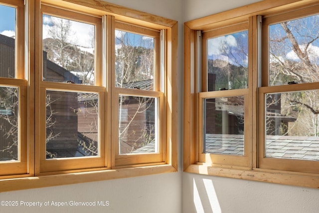 534/536 Spruce St, Aspen, CO 81611 - detailed view