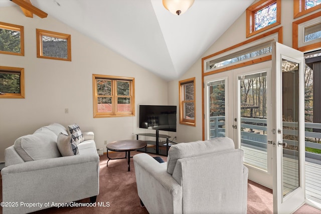 534/536 Spruce St, Aspen, CO 81611 - carpeted living area with french doors, a baseboard heating unit, and high vaulted ceiling