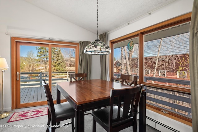 534/536 Spruce St, Aspen, CO 81611 - dining area with vaulted ceiling, carpet, and a baseboard radiator