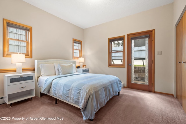 534/536 Spruce St, Aspen, CO 81611 - bedroom with carpet and access to outside