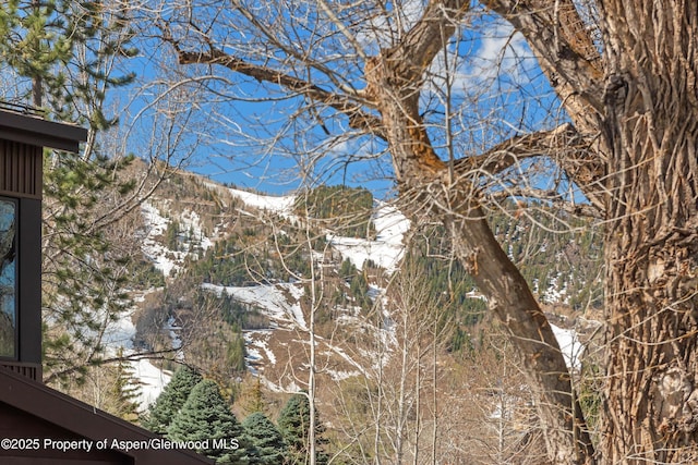 534/536 Spruce St, Aspen, CO 81611 - exterior space with a mountainous background