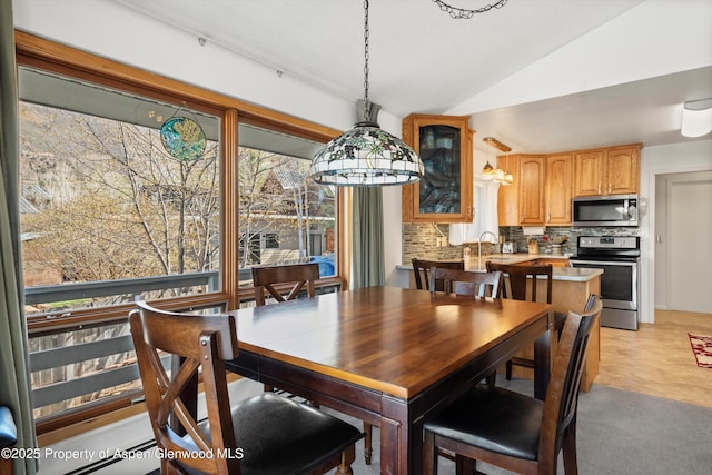 534/536 Spruce St, Aspen, CO 81611 - dining area with lofted ceiling