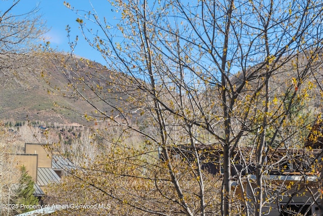 534/536 Spruce St, Aspen, CO 81611 - water view