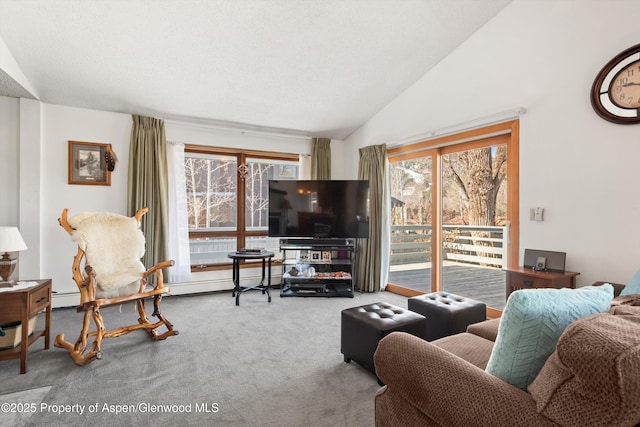 534/536 Spruce St, Aspen, CO 81611 - living area with carpet flooring, lofted ceiling, and a baseboard radiator