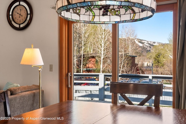 534/536 Spruce St, Aspen, CO 81611 - dining room featuring plenty of natural light and a mountain view
