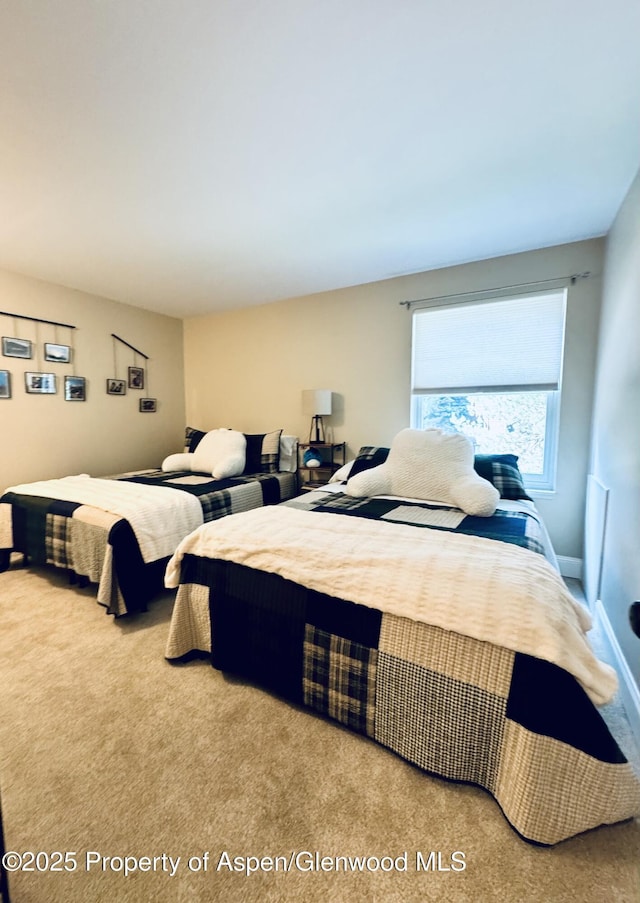 1300B Mount Sopris Dr Unit B4, Glenwood Springs, CO 81601 - photo 10