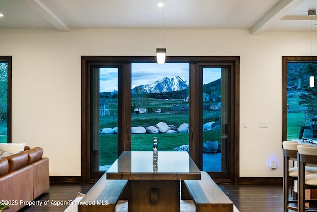 103 Ranch Ln, Glenwood Springs, CO 81601 - dining room with dark wood-type flooring, baseboards, a mountain view, and plenty of natural light