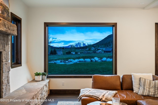 103 Ranch Ln, Glenwood Springs, CO 81601 - living area with wood finished floors, a mountain view, and a stone fireplace