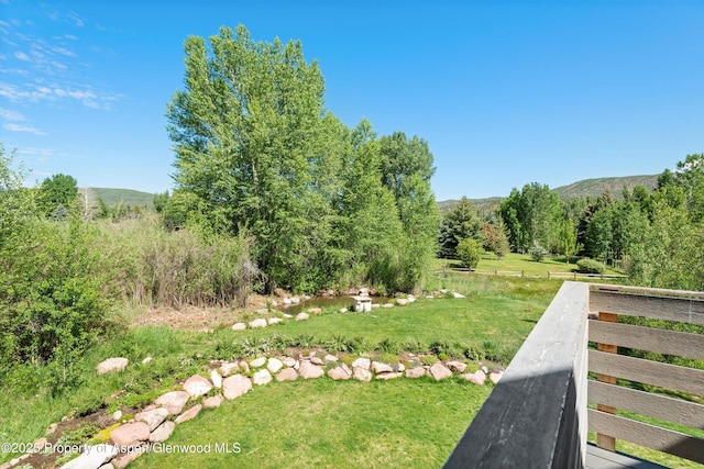 45 Little Elk Creek Ave, Snowmass, CO 81654