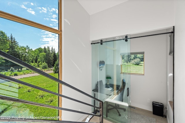 45 Little Elk Creek Ave, Snowmass, CO 81654