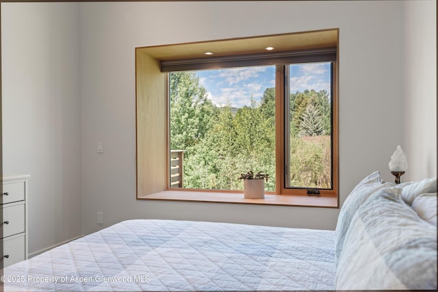 45 Little Elk Creek Ave, Snowmass, CO 81654