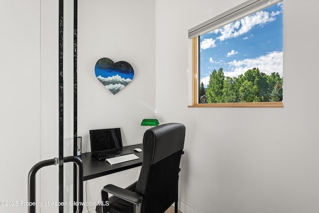 45 Little Elk Creek Ave, Snowmass, CO 81654