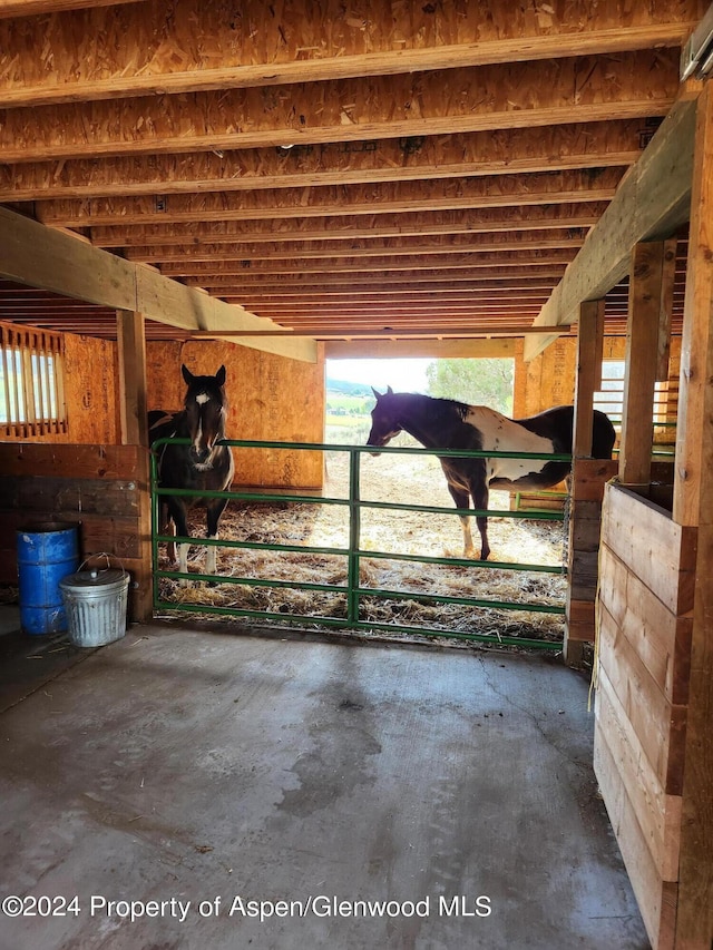 view of horse barn