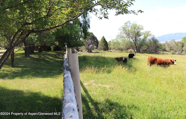 view of yard with a rural view