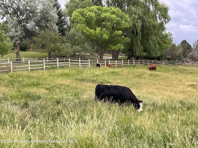 view of yard with a rural view