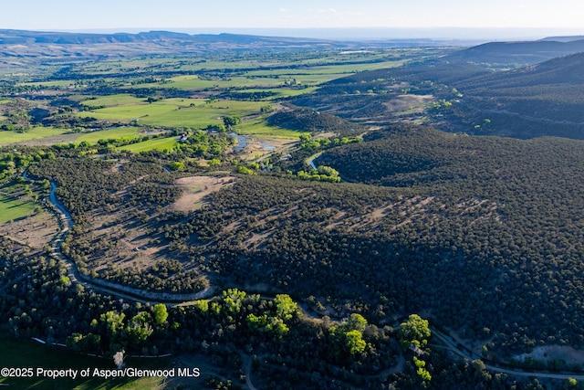 TBD Powell Mesa Rd, Hotchkiss, CO 81419