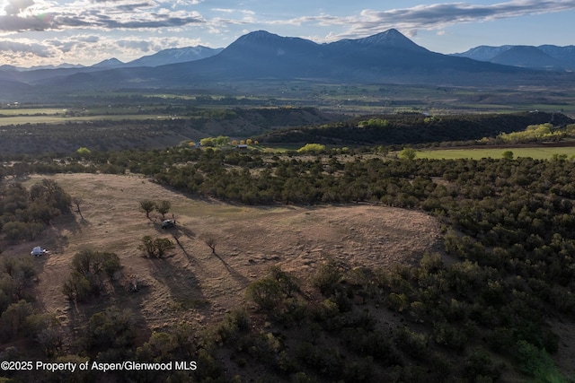 TBD Powell Mesa Rd, Hotchkiss, CO 81419