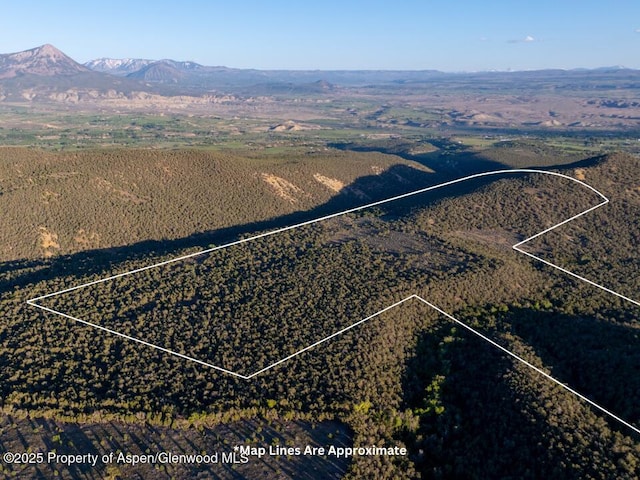 TBD Powell Mesa Rd, Hotchkiss, CO 81419