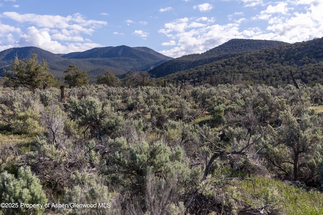 TBD Powell Mesa Rd, Hotchkiss, CO 81419