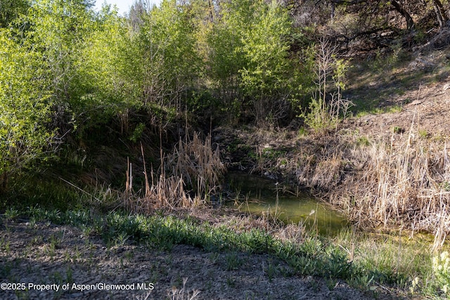 TBD Powell Mesa Rd, Hotchkiss, CO 81419