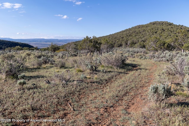 TBD Powell Mesa Rd, Hotchkiss, CO 81419