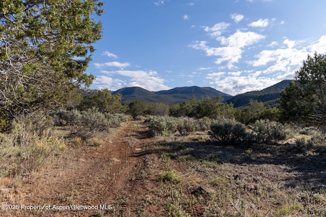 TBD Powell Mesa Rd, Hotchkiss, CO 81419
