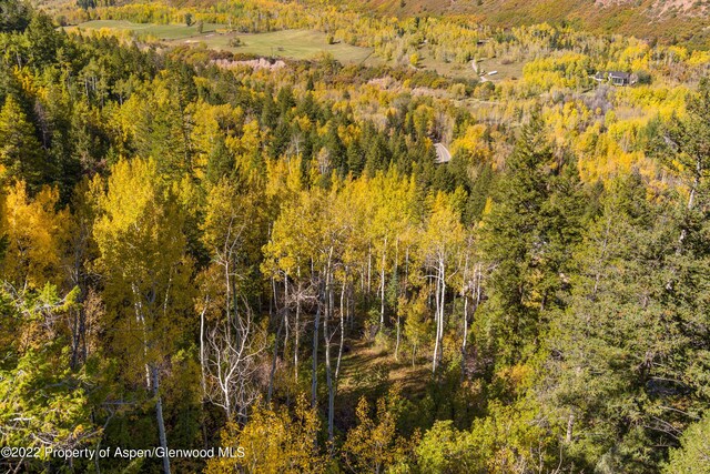 TBD Exhibition Ln Lot 13, Aspen, CO 81611 - photo 19