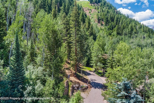 TBD Exhibition Ln Lot 13, Aspen, CO 81611 - photo 8