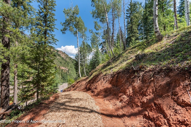 TBD Exhibition Ln Lot 13, Aspen, CO 81611 - photo 4